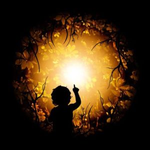 Jose Rodolfo Vieira Piza