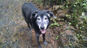 IMG_20141209_125734488