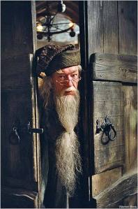 Albus-Dumbledore-albus-dumbledore-7749749-350-530